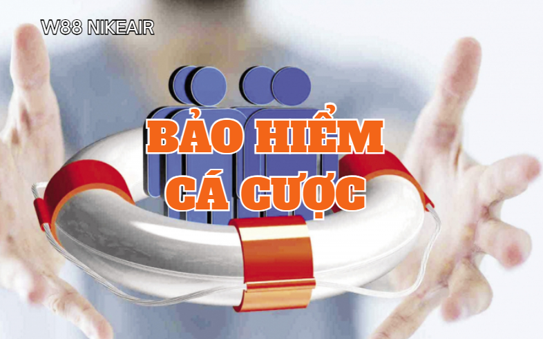 bao hiem ca cuoc w88