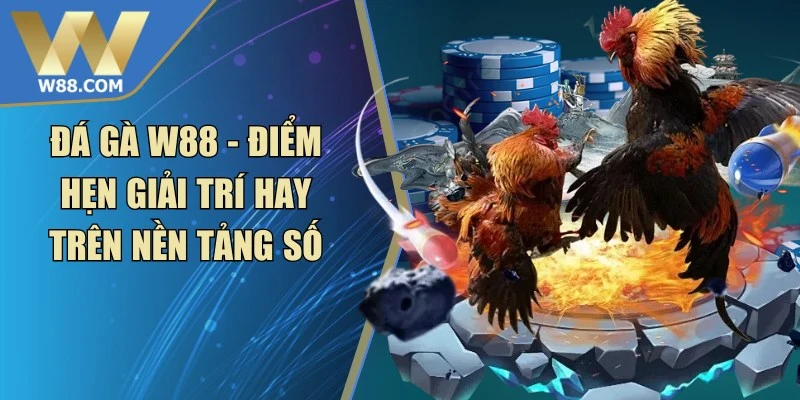Đá Gà W88